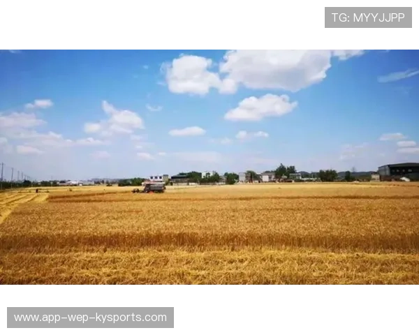 T1战队创下连续不败记录，数据表现引关注，t1战队百科