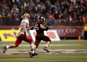 开云入口-球迷故事：那些追逐偶像的青春岁月，球迷算不算追星