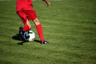 kaiyun体育综合-篮球运动员心理素质测评体系构建，篮球运动员心理素质的重要性