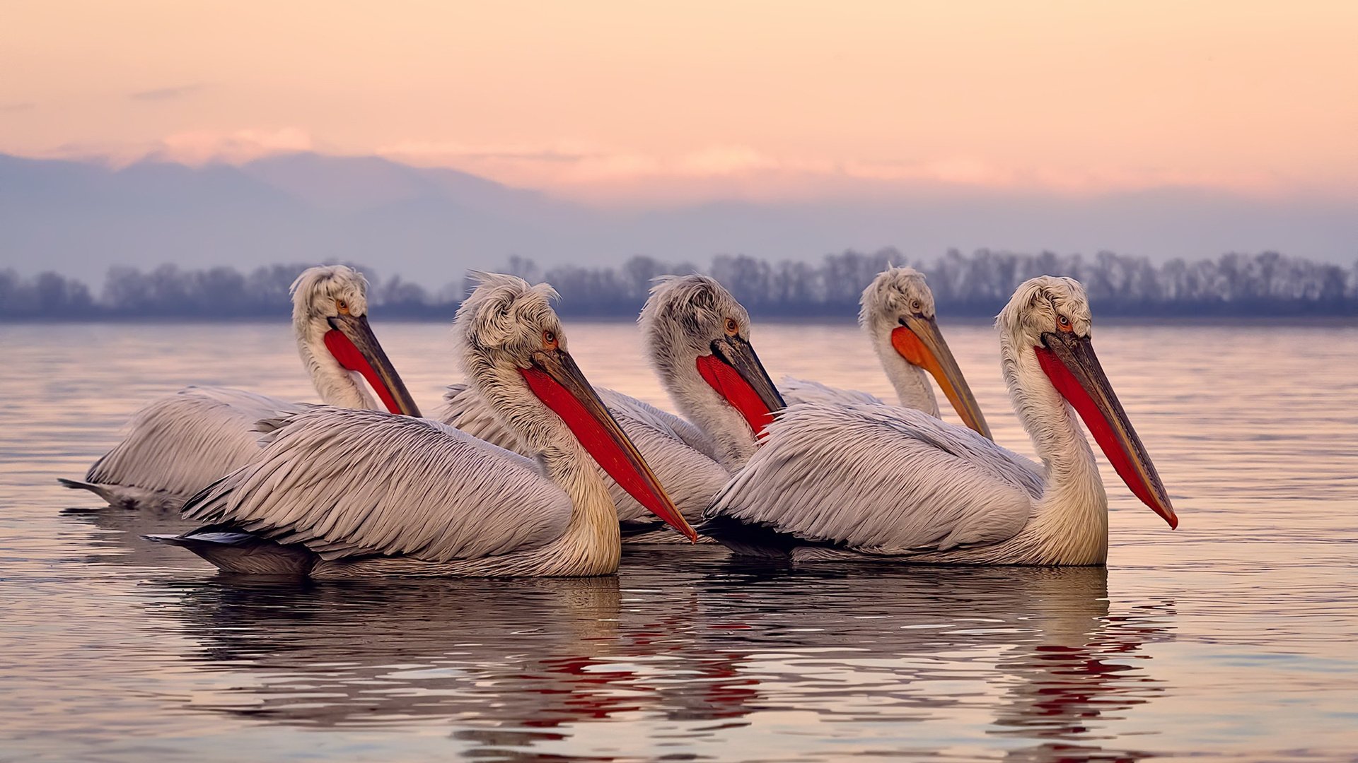 青少年体育竞赛规则完善，青少年体育赛事报名平台