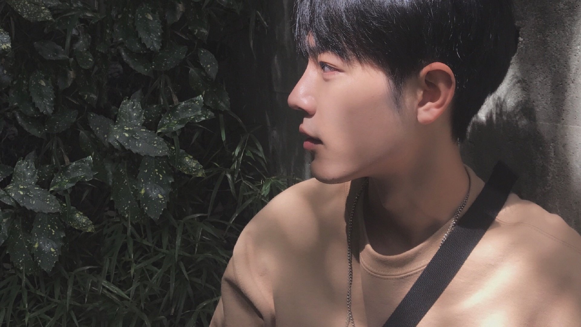 青少年体育竞赛规则完善，青少年体育赛事报名平台