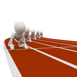 开云娱乐官网-全运会筹备工作进入冲刺阶段，全运会备战方案