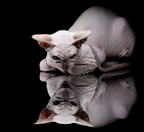 开云体育俱乐部官网-数据驱动下的临场换人是否优于经验判断