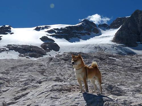 开云体育官方网站登陆-校园篮球裁判培训体系为何缺位，校园篮球裁判的发展现状分析