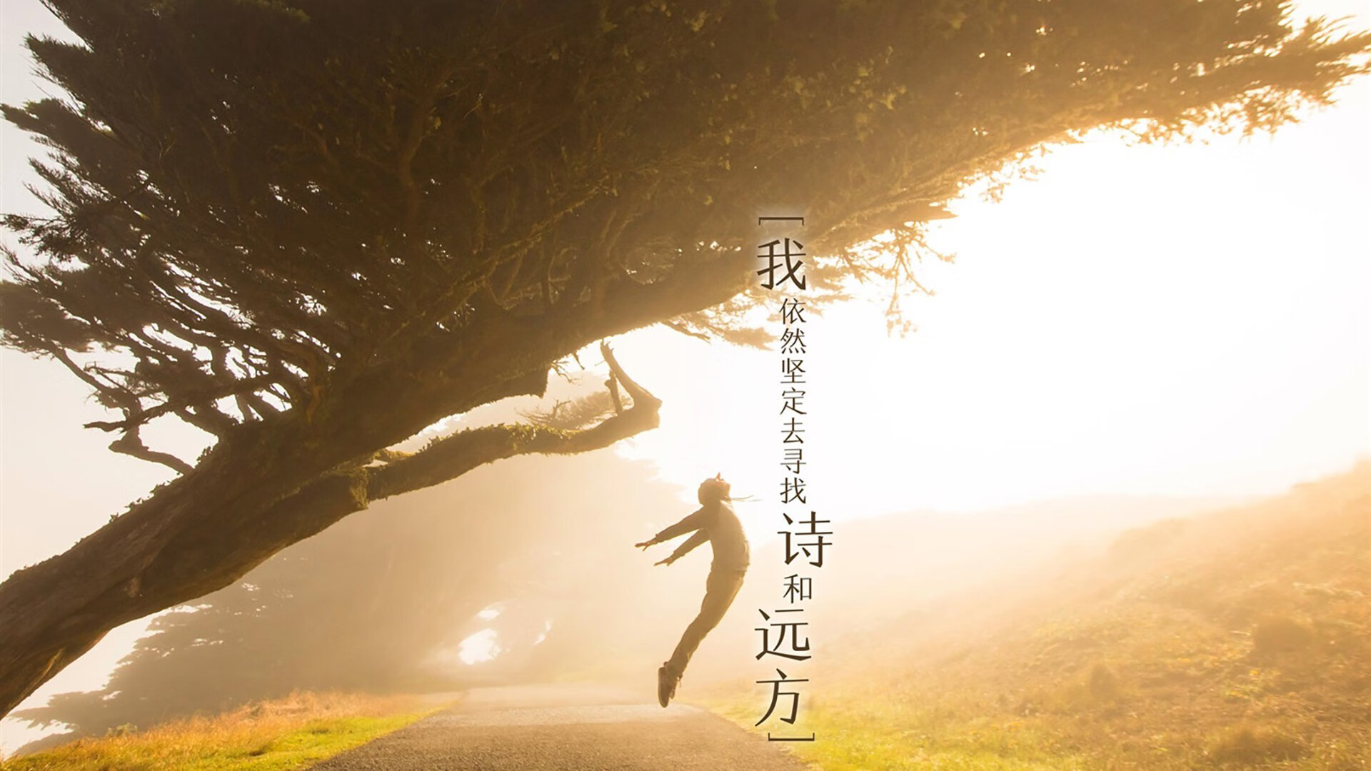 雷恩前压战术奏效抢下关键三分，雷恩是哪个联赛的